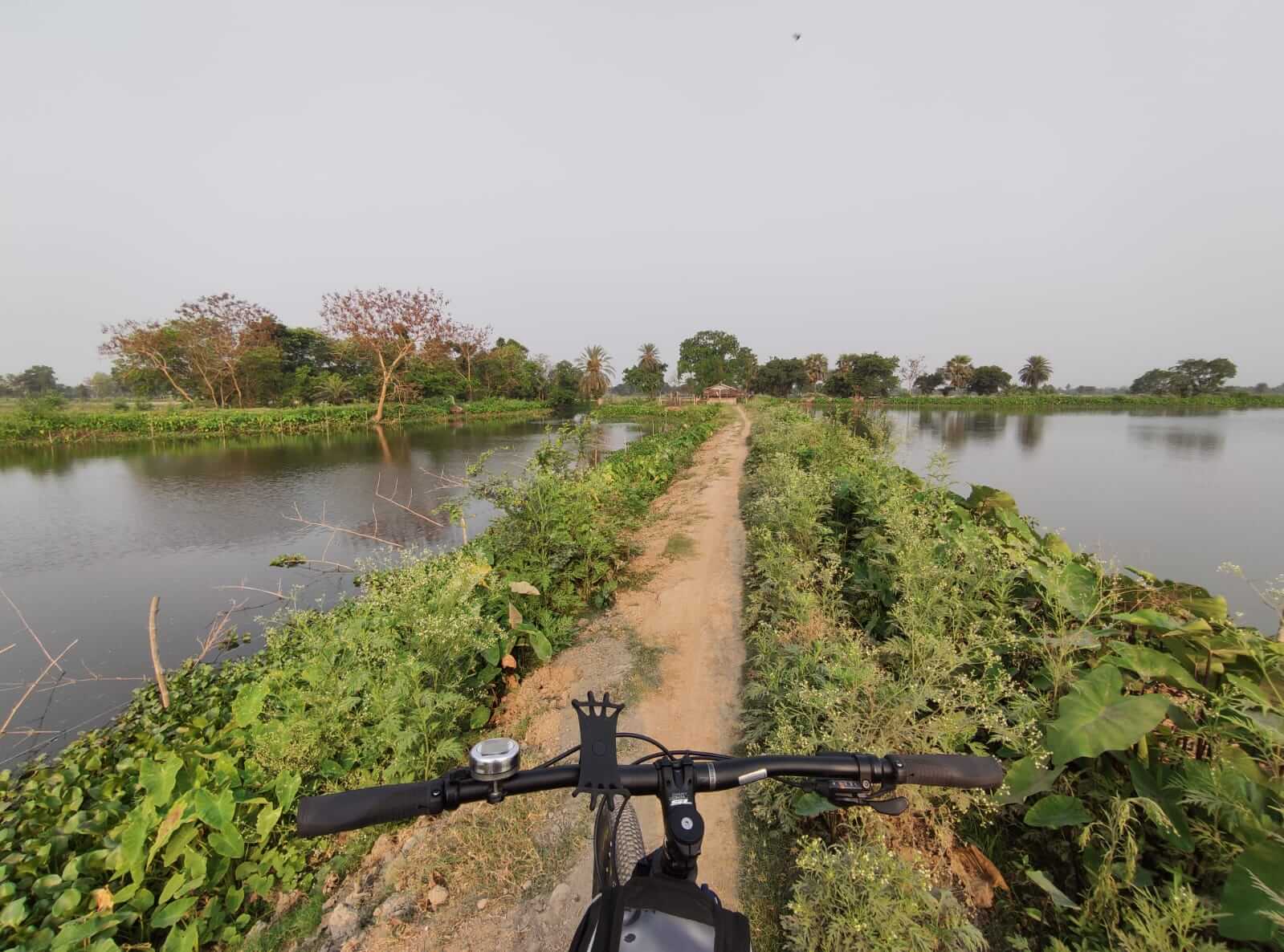 best type of bike for paved trails