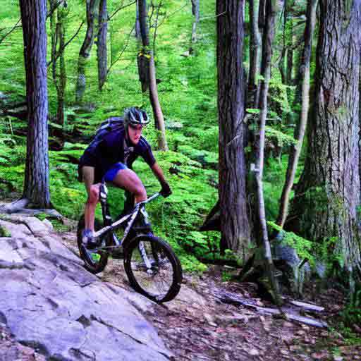 mountain biking in massachusetts