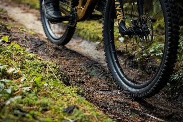 Best All-Around Mountain Bike Tire: Ultimate Grip Guide
