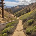 Hiking Trails in California: Scenic Routes Unveiled In 2024!